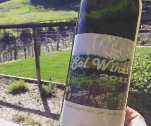 Field Blend Wines & a Father’s Day Story