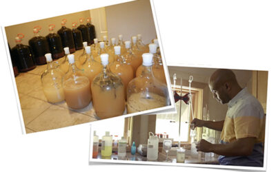 10 Years of Bee d’Vine: Reflections and 10 Business & Life Lessons