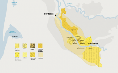 Bordeaux Wine: Sweet & Semi Sweet Wine Guide