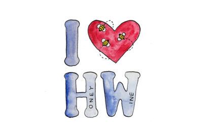 What is Honey Wine? A Beginner’s Guide by The Honey Wine Company