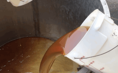 Make your Own Honey Wine: Instructions for Mead Making